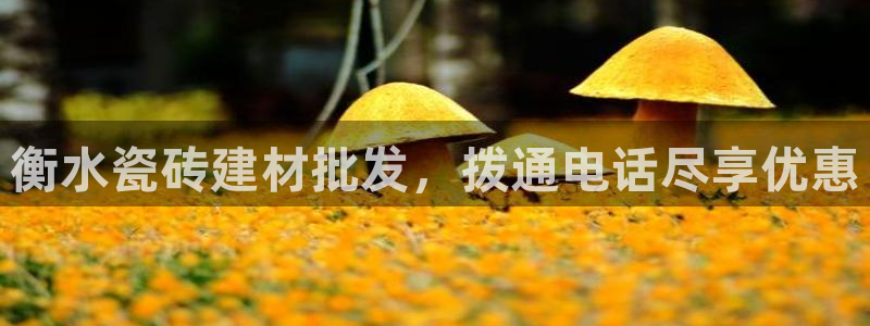 杏鑫平台怎么样黑钱吗是真的吗