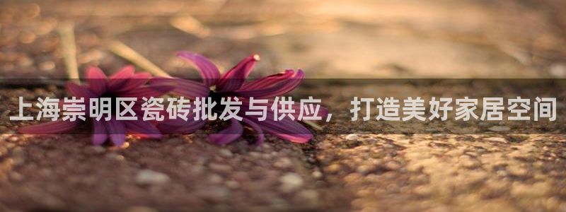 杏鑫平台代理怎么样可靠吗