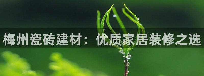 杏鑫官方平台怎么样