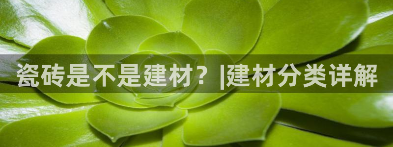 杏鑫平台正规吗是真的吗