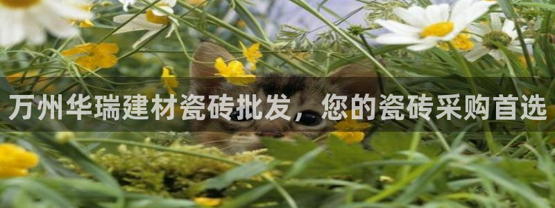 杏鑫娱乐官网首页