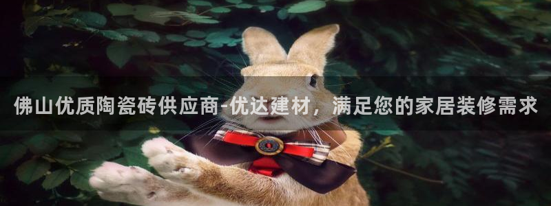 杏鑫平台怎么样