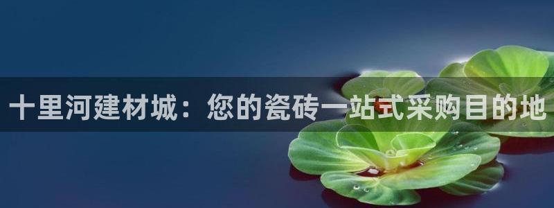 杏鑫娱乐平台测速怎么样