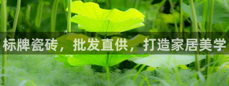 杏鑫平台野马联盟怎么样