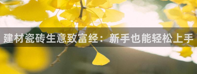 杏鑫平台代理注册