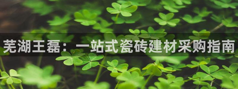 杏鑫登录注册测速