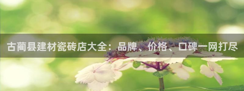 杏鑫登录注册