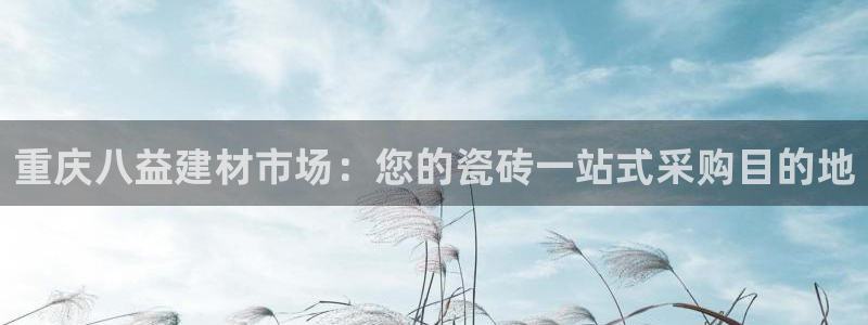 杏鑫平台登录地址在哪
