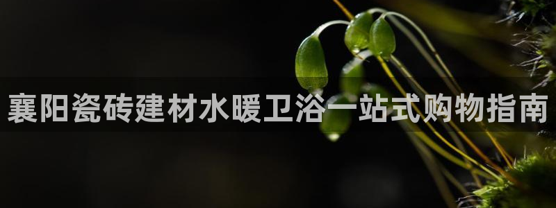 杏鑫平台测速怎么样