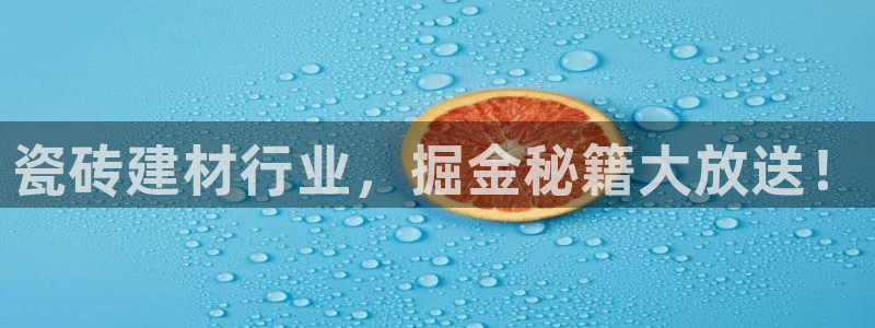 杏鑫平台注册网址查询