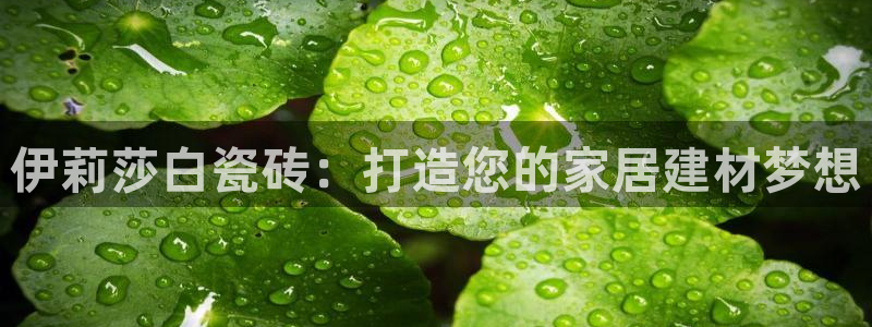 杏鑫官网最新信息