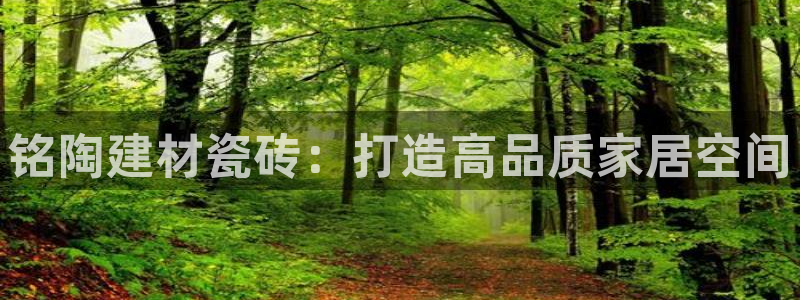 杏鑫手机客户端