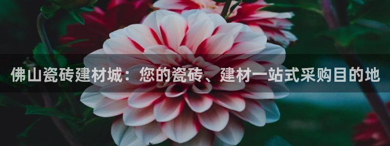 杏鑫娱乐是真的吗还是假的
