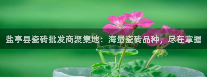 杏鑫平台代理怎么做