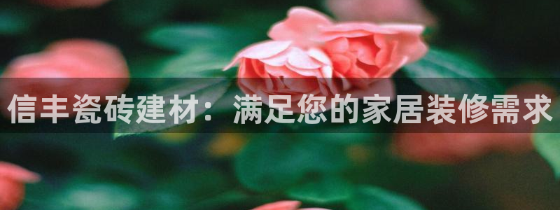 杏鑫平台代理注册多少钱
