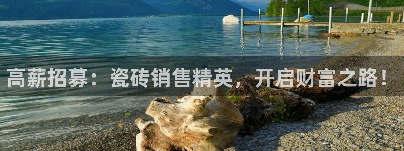 杏鑫平台招商怎么样