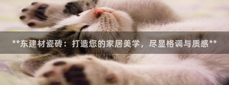 杏鑫娱乐是真的吗