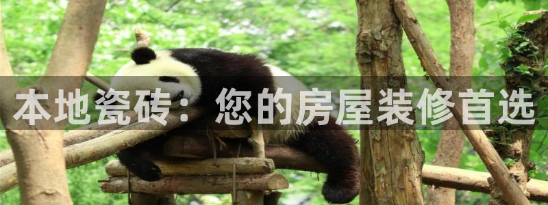杏鑫平台代理注册多少钱啊