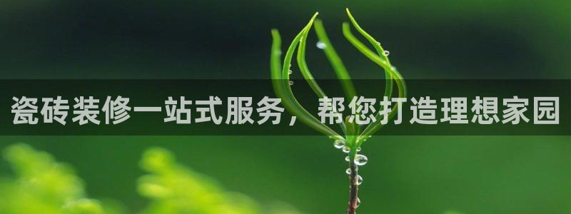 杏鑫平台是黑平台吗