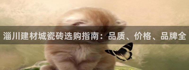 杏鑫平台代理注册登录不了怎么办呀