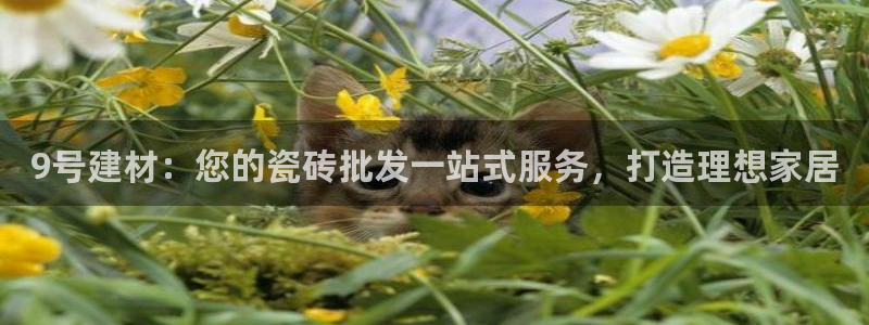 杏鑫平台官方网站