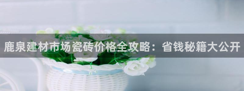 杏鑫平台登录地址在哪
