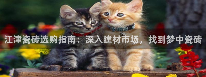 杏鑫官方平台怎么样啊知乎