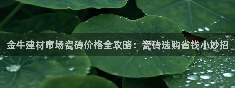 杏鑫平台注册入口