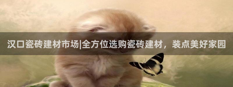 杏鑫平台代理怎么做的