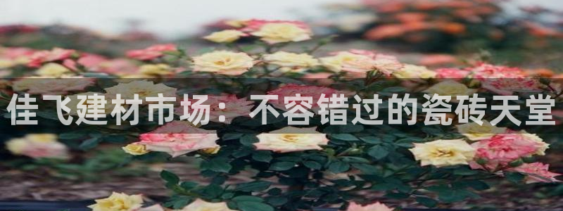 杏鑫娱乐官网首页