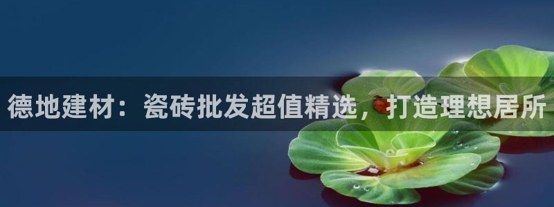 杏鑫平台线路测速