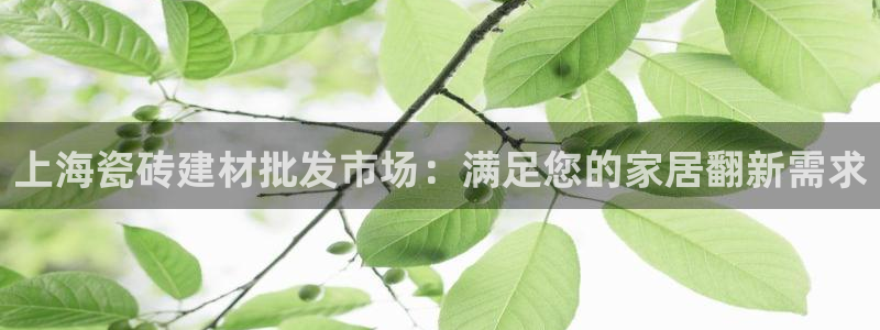 杏鑫平台平台娱乐怎么样