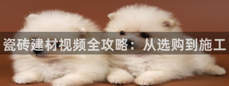 杏鑫娱乐官网首页