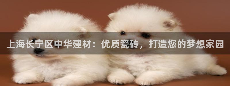 杏鑫手机客户端