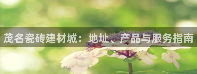 杏鑫娱乐平台测速