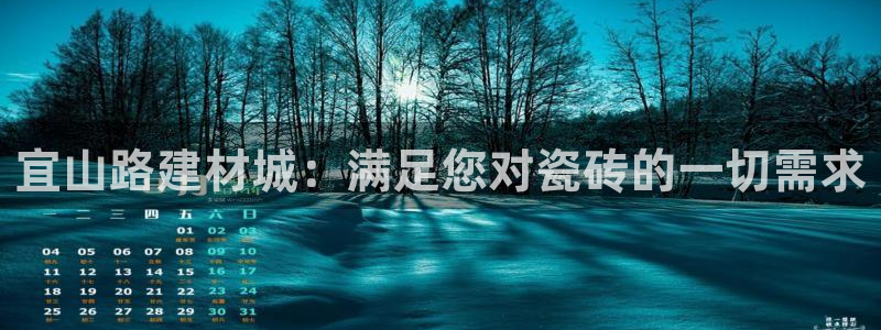 杏鑫官方平台怎么样啊