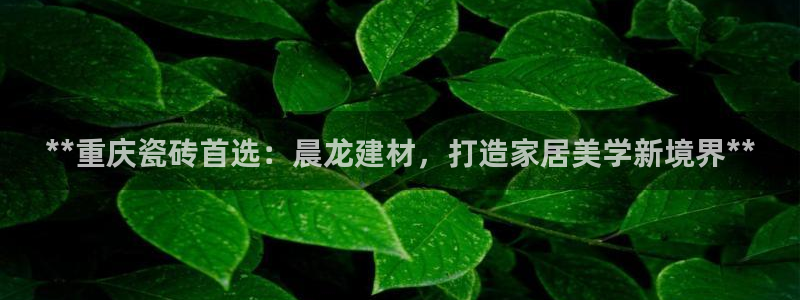 杏鑫平台广7O777