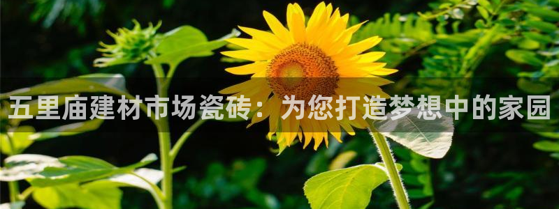 杏鑫官方平台怎么样啊