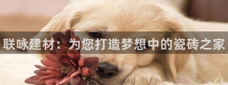杏鑫平台直属