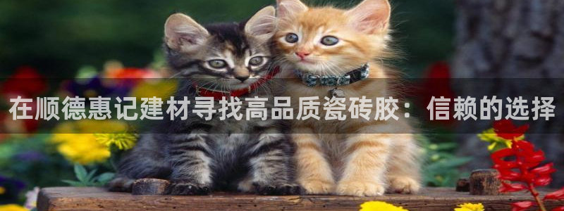 杏鑫平台怎么样黑钱吗安全吗