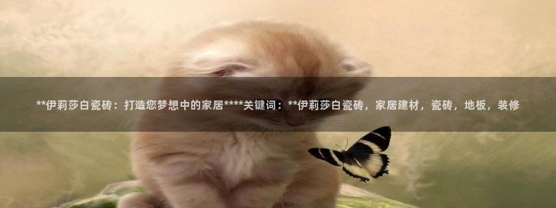 杏鑫平台代理怎么做