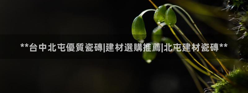 杏鑫平台招商电话是多少