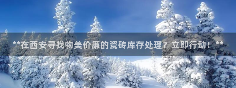 杏鑫平台代理怎么做赚钱
