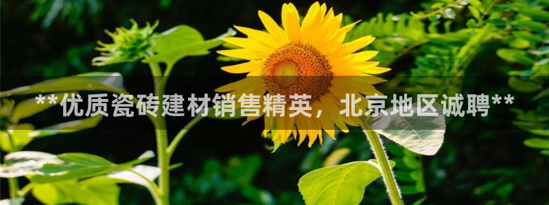 杏鑫平台怎么样黑钱吗是真的吗知乎