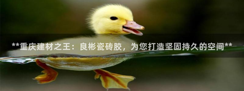 杏鑫平台平台娱乐怎么样