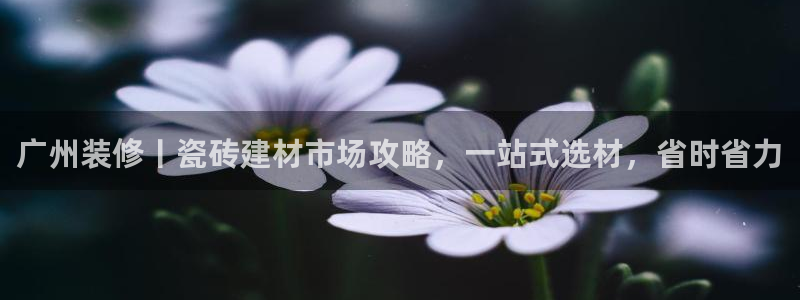 杏鑫平台正规吗可信吗