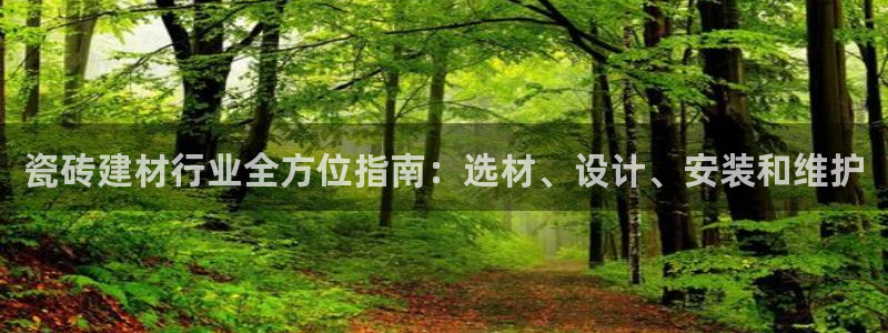 杏鑫主管