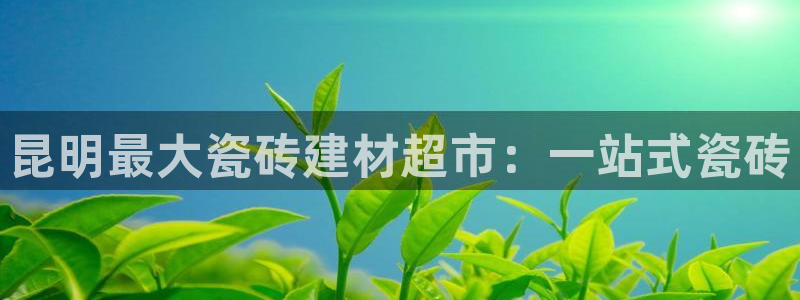 杏鑫官方平台怎么样啊可靠吗