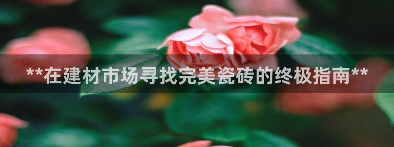杏鑫平台怎么样知乎