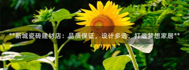 杏鑫官网最新信息
